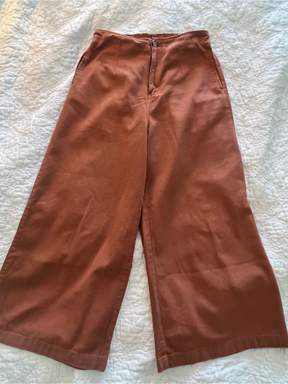 Good Luck Gem Men's Wide-Leg Chinos in Rust